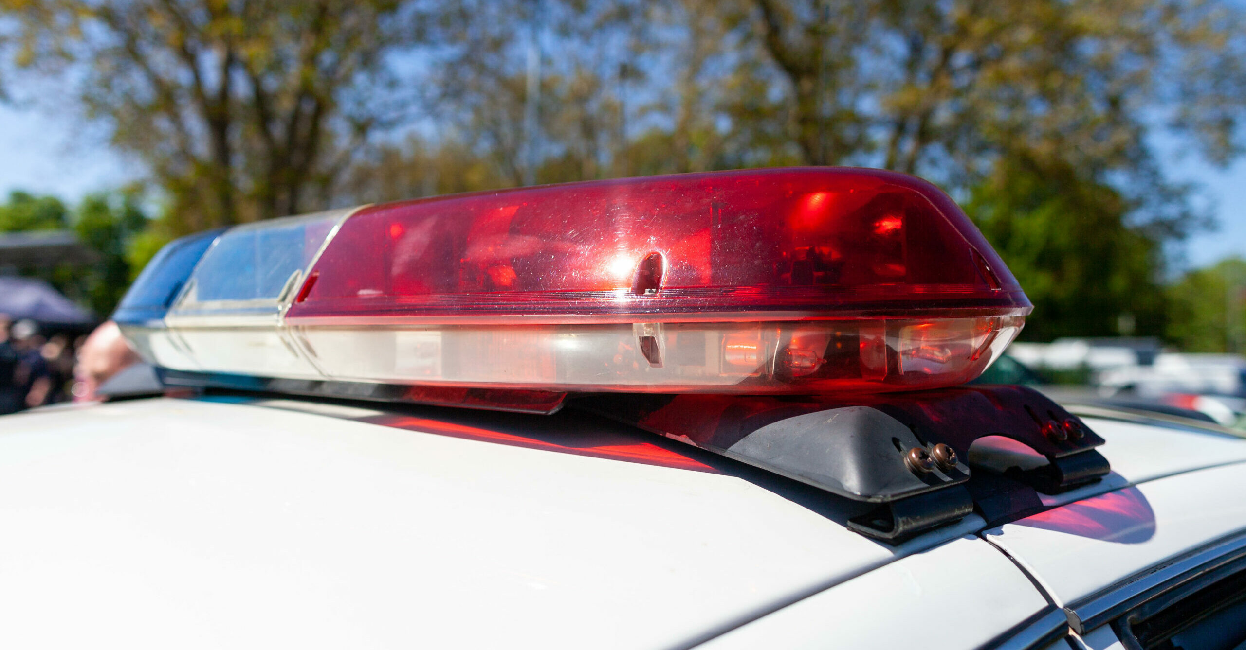 Father dies after saving friend's son, 6, from drowning