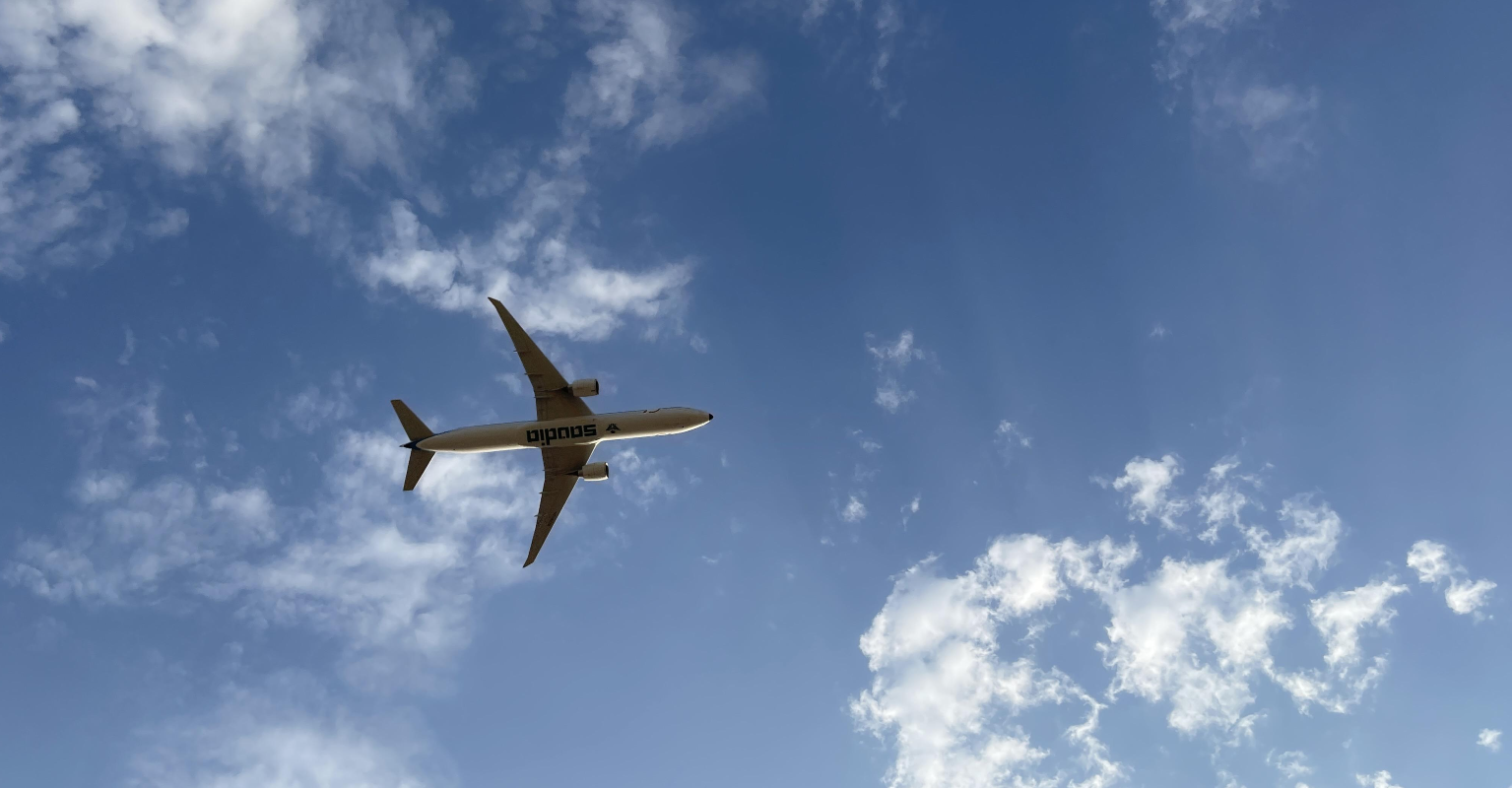 People think there's a 'glitch in the matrix' after plane appears not to move in sky