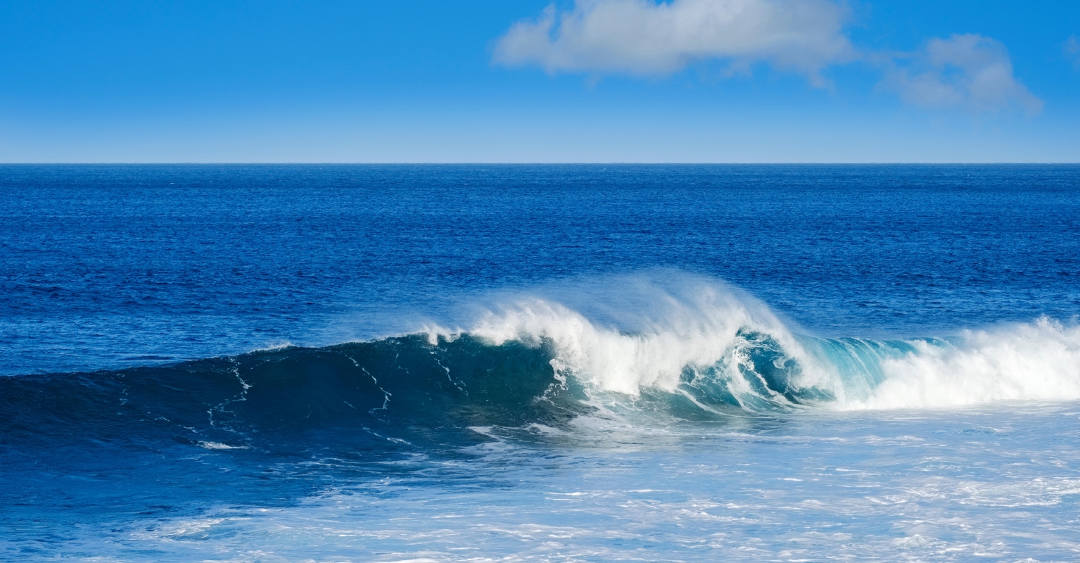 'Hero' CrossFit coach and father drown after saving wife from rip current while scattering ashes