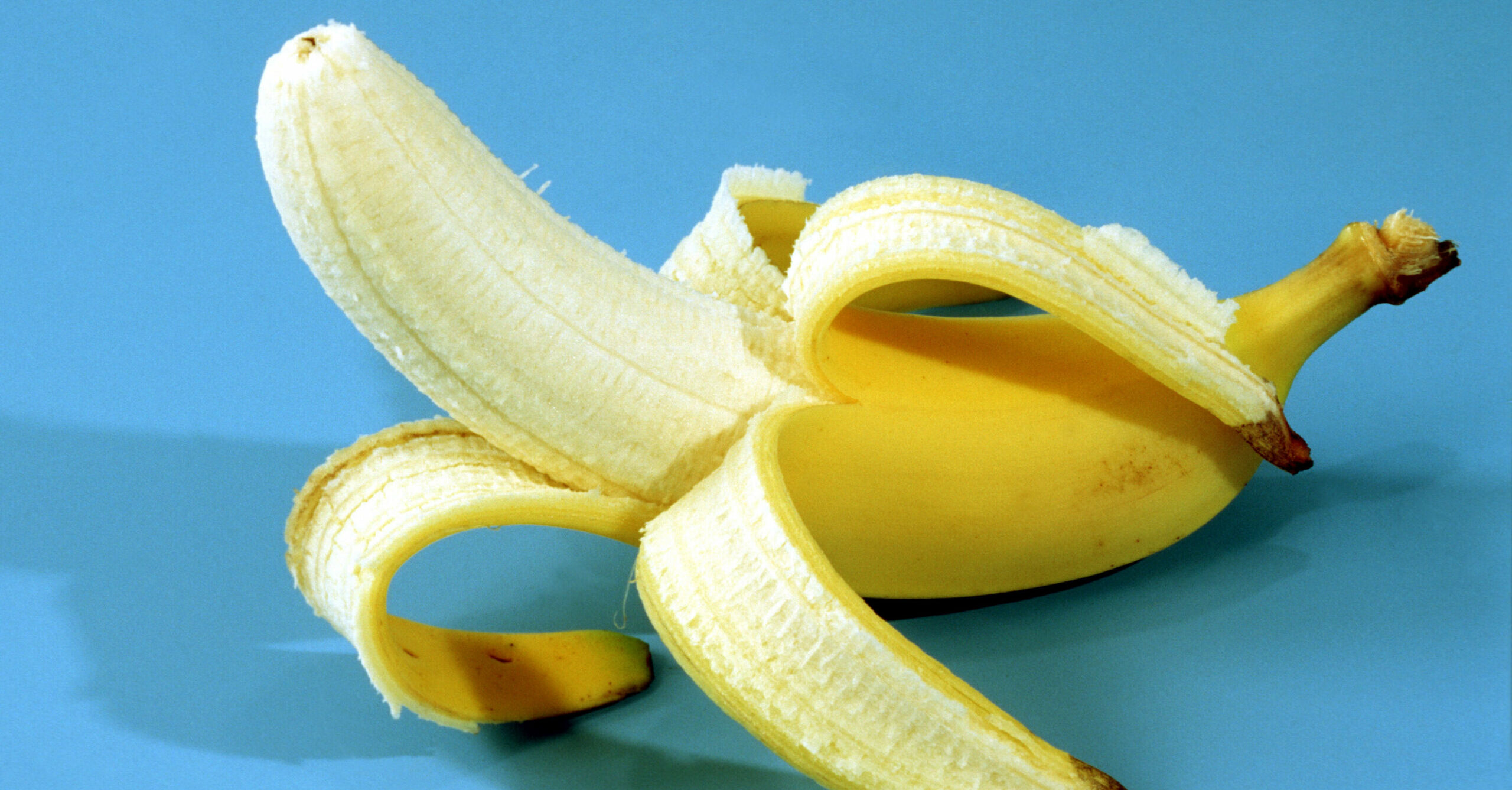 'Hungry' student eats $120,000 banana art exhibition