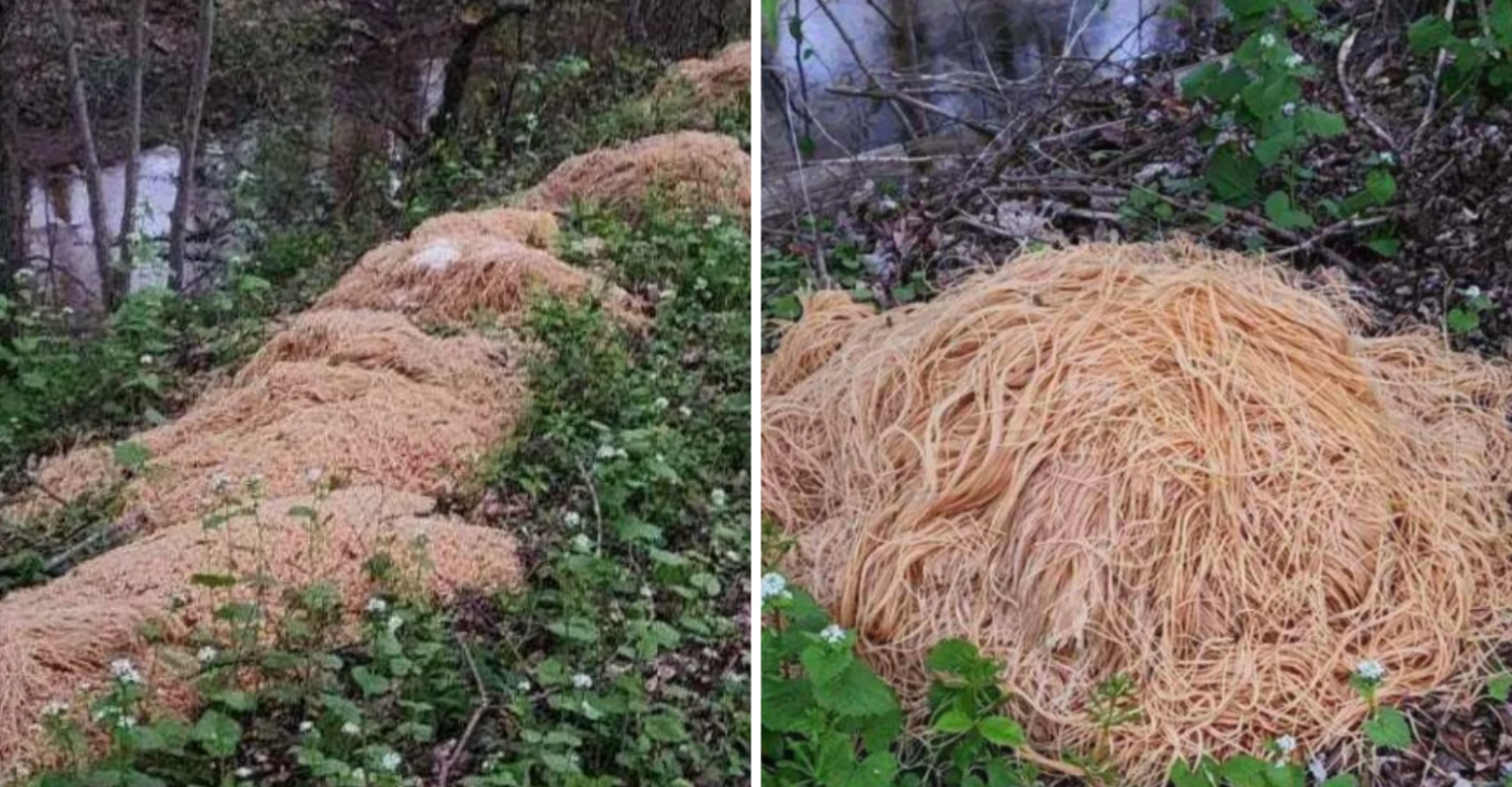 500lbs Of 'Cooked Pasta' Is Found Dumped In Woods Baffling Local Residents