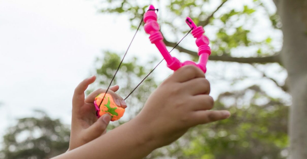 Boy, 13, praised for using his slingshot to save 8-year-old sister from kidnapper