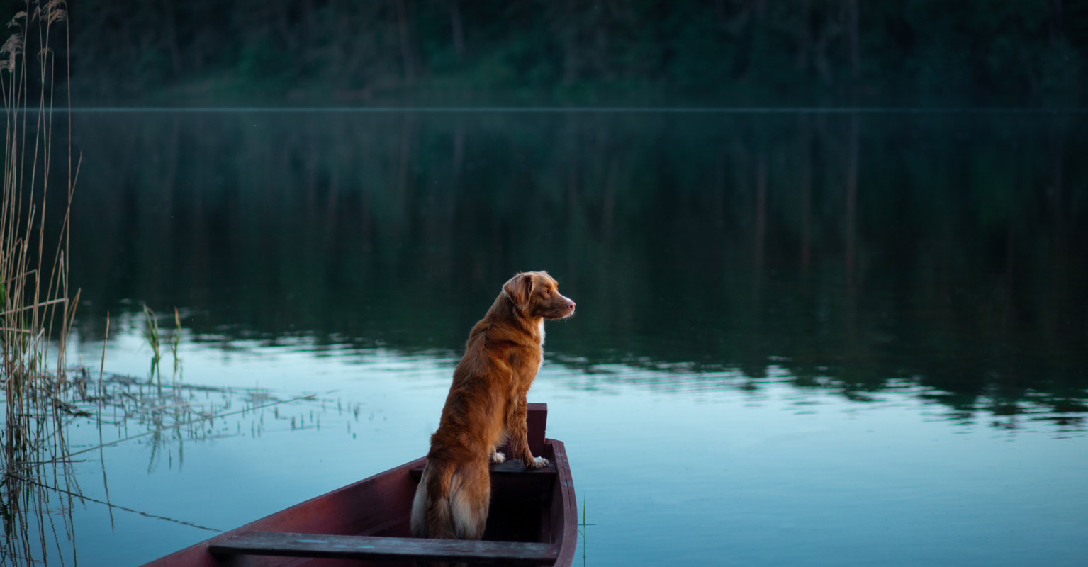 Man who survived two months lost at sea with pet dog reveals how they made it through the ordeal