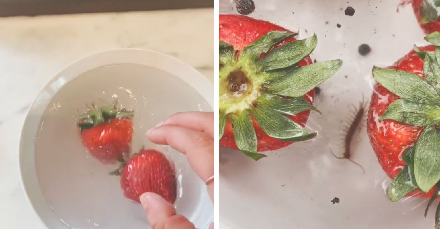 People Are Vowing Never To Eat Strawberries Again After TikTok Video
