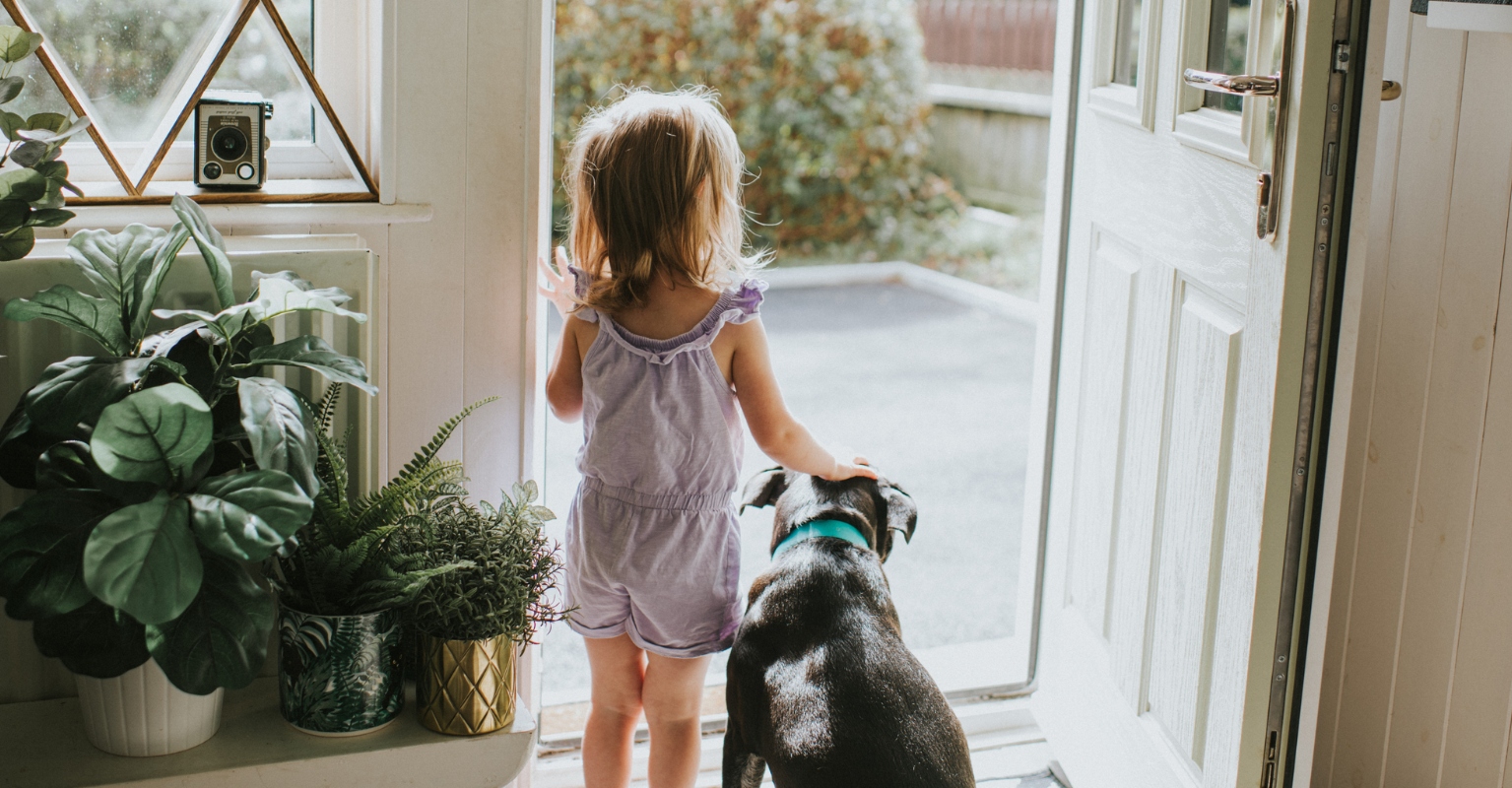 Missing toddler, 2, found in the woods using her faithful pet dog as a pillow