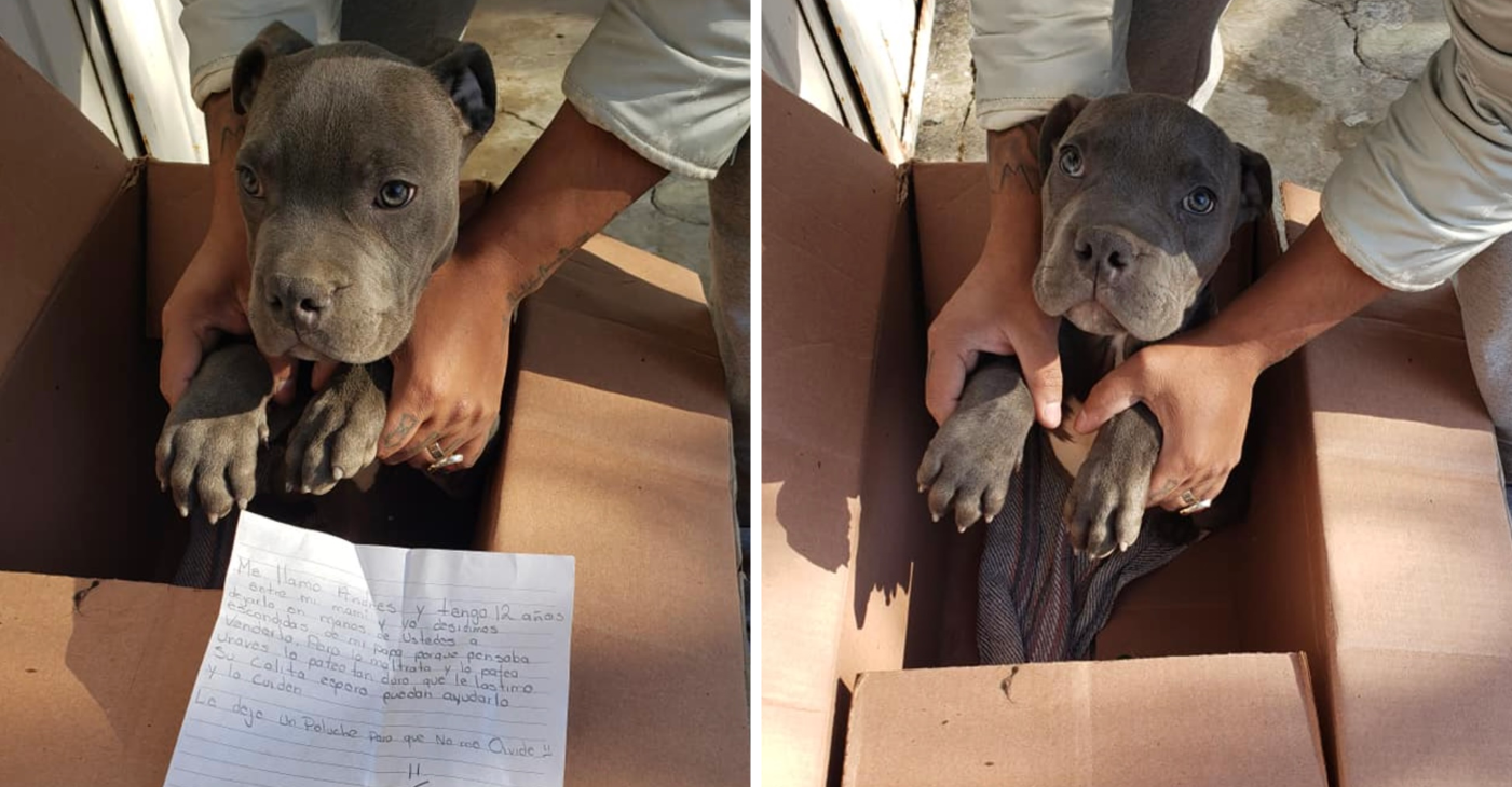 Boy leaves his helpless puppy at shelter so his dad can't beat him