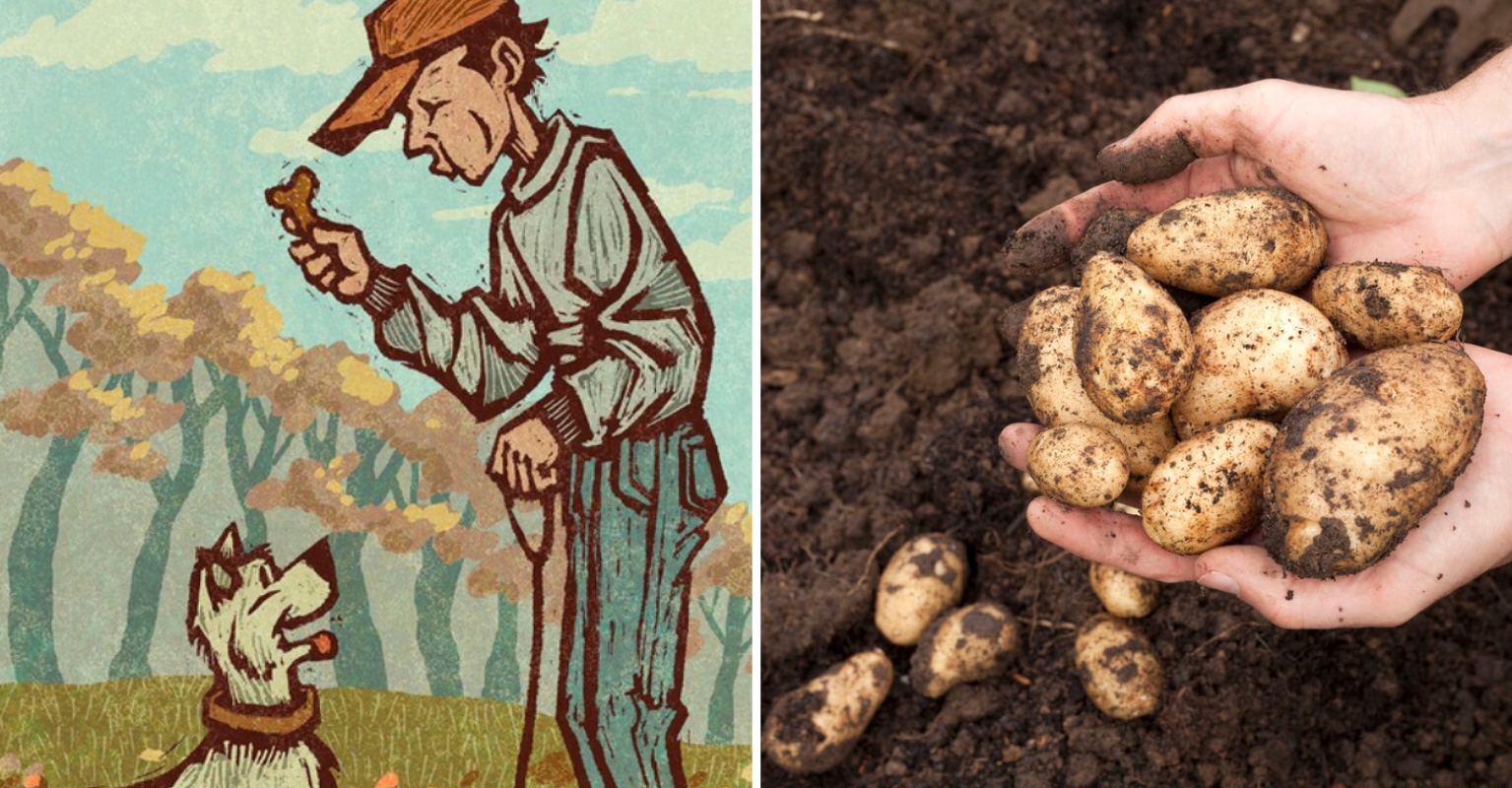 Dark Meaning Behind Kids’ Nursery Rhyme ‘Nick Nack Paddy Whack’ Leaves