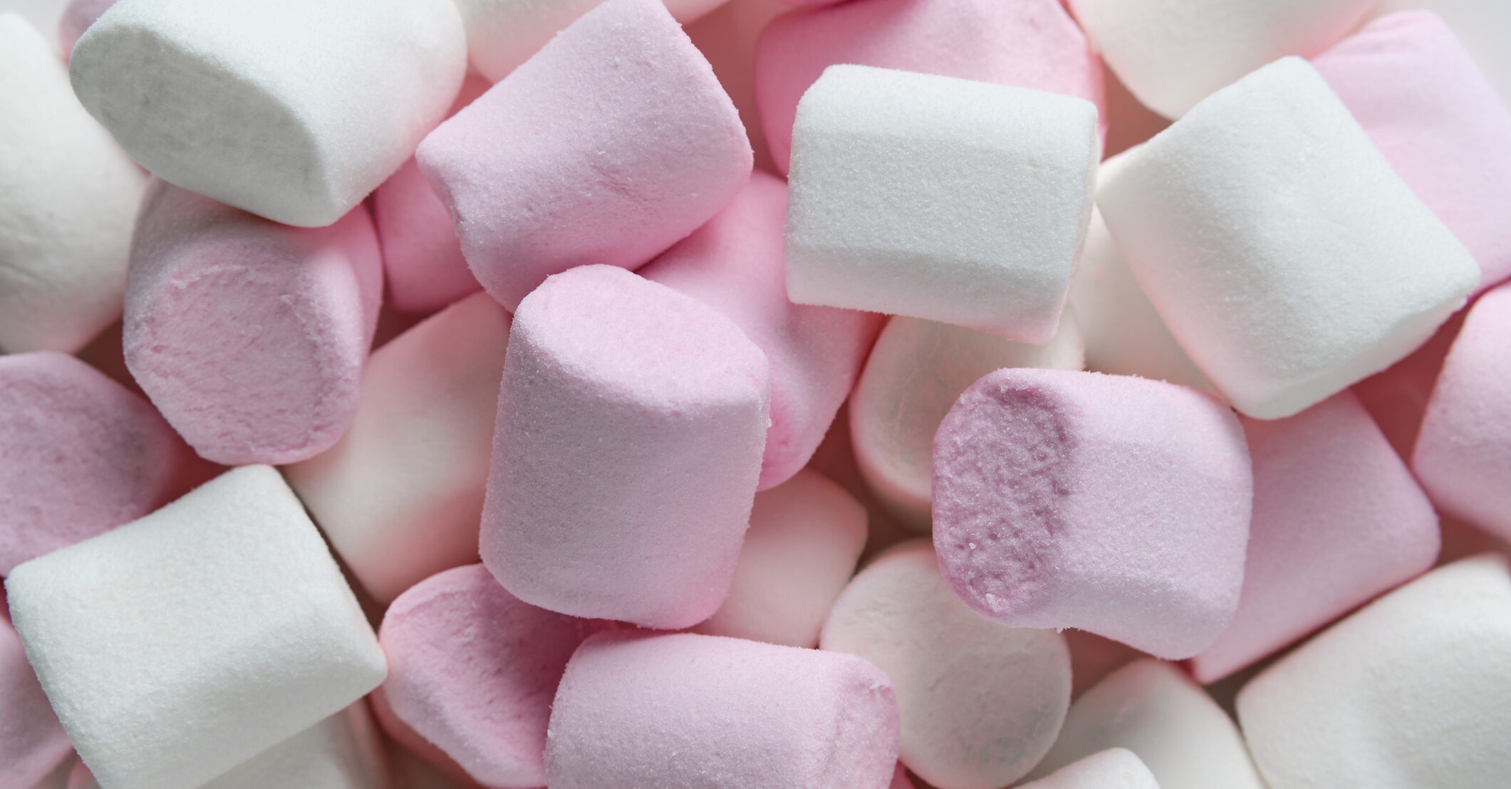 Woman dies after choking on marshmallows during fundraising event