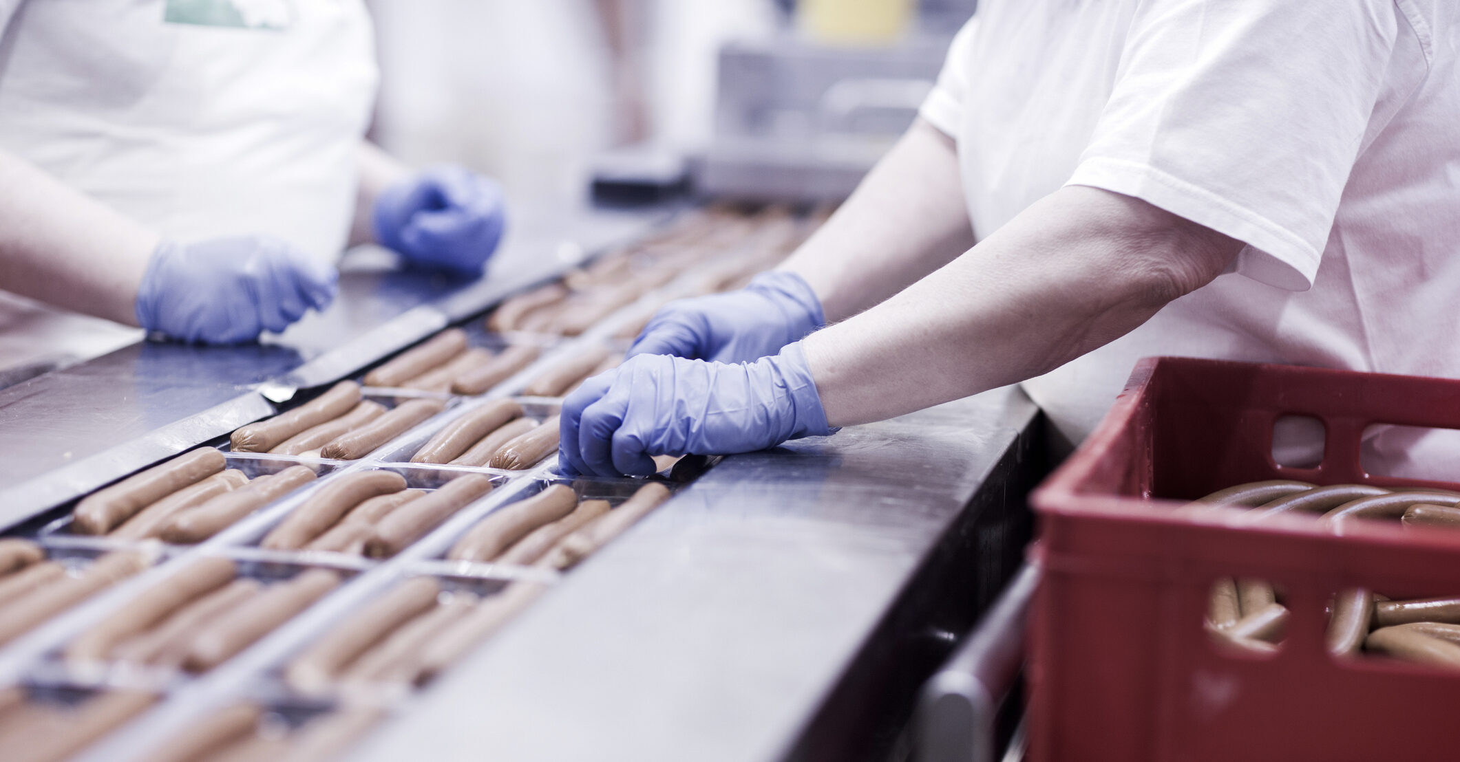 People horrified after learning how vegan meat is made