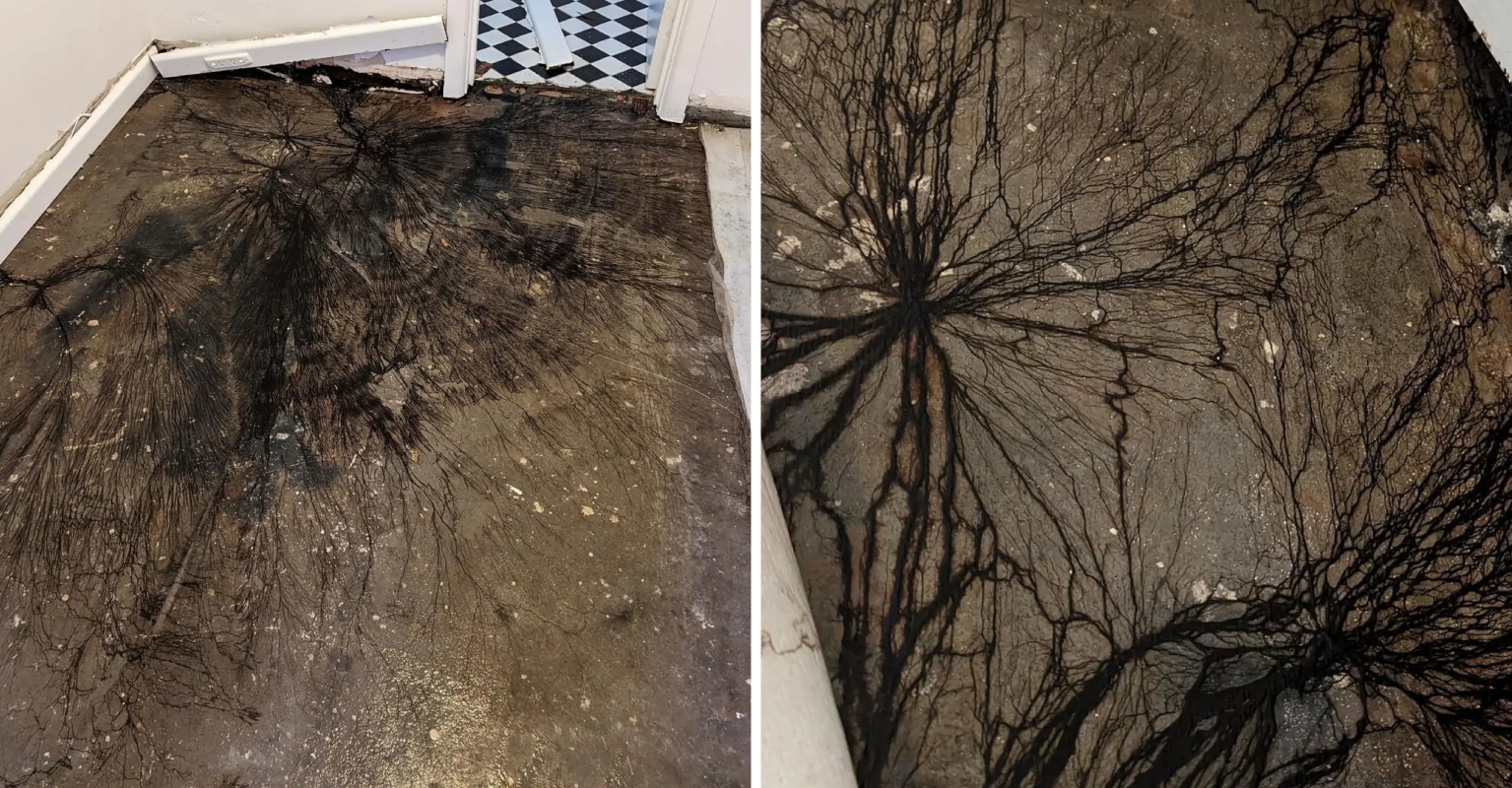 Homeowner Makes Horrifying Discovery After Pulling Up Her Carpets 'Any