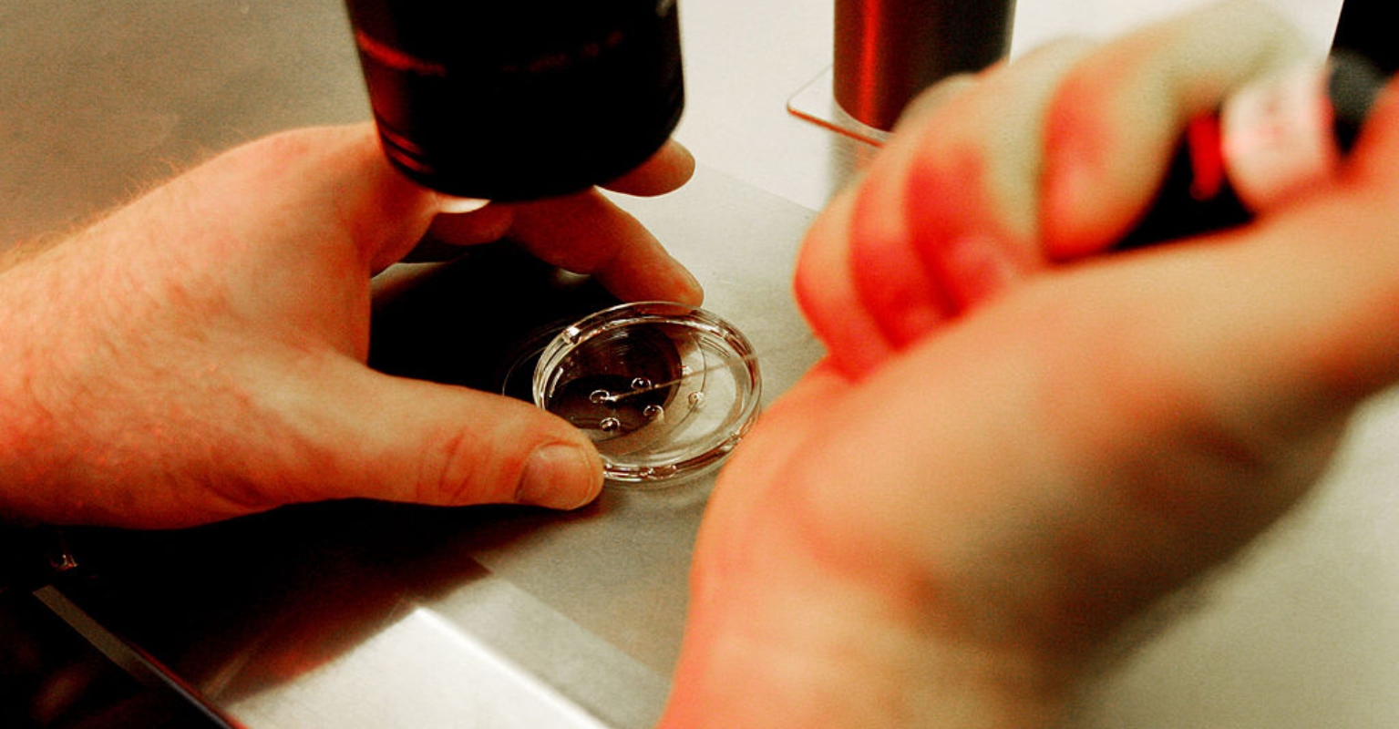 Twins born from embryos frozen 30 years ago celebrate their first birthday
