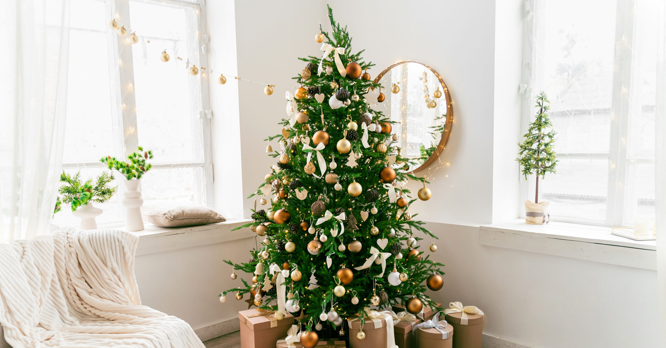 Social media users warned to check Christmas trees for clumps that 'must be removed immediately'