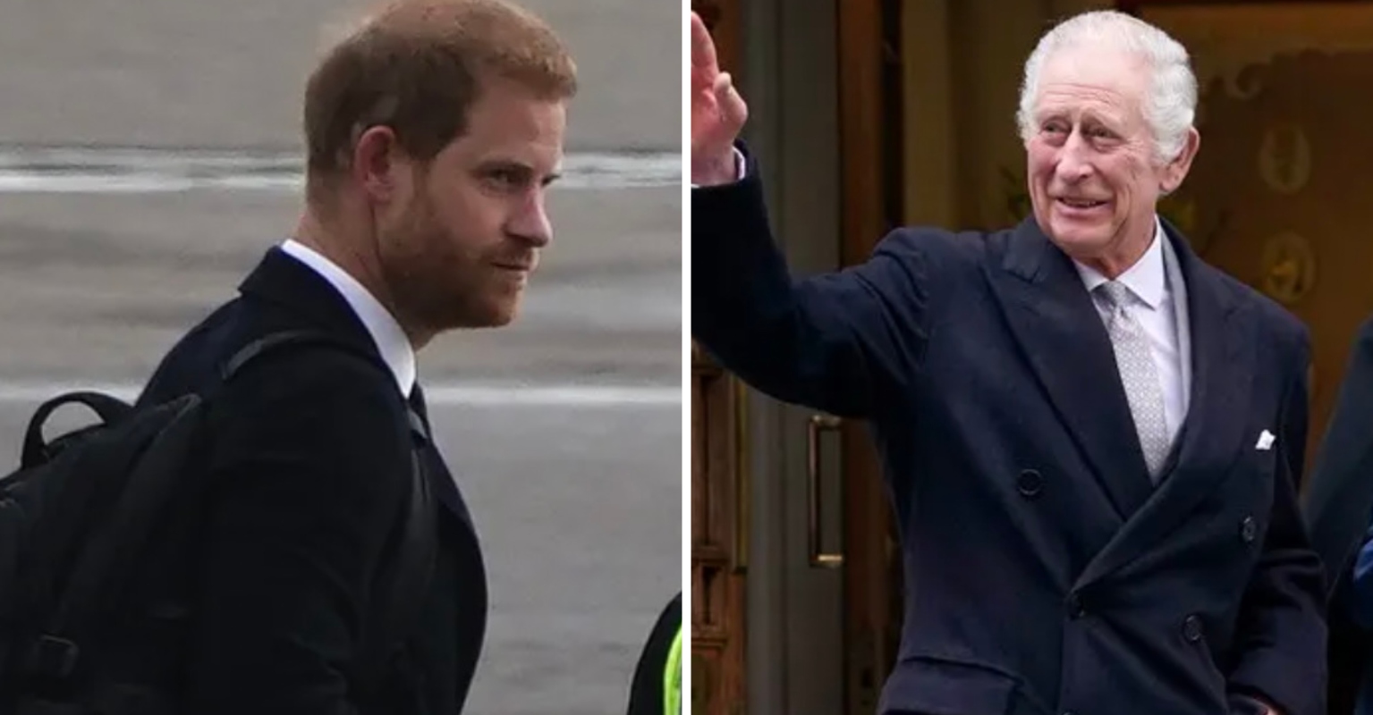 What Really Happened At The King Charles And Prince Harry Reunion - x7uvbp5