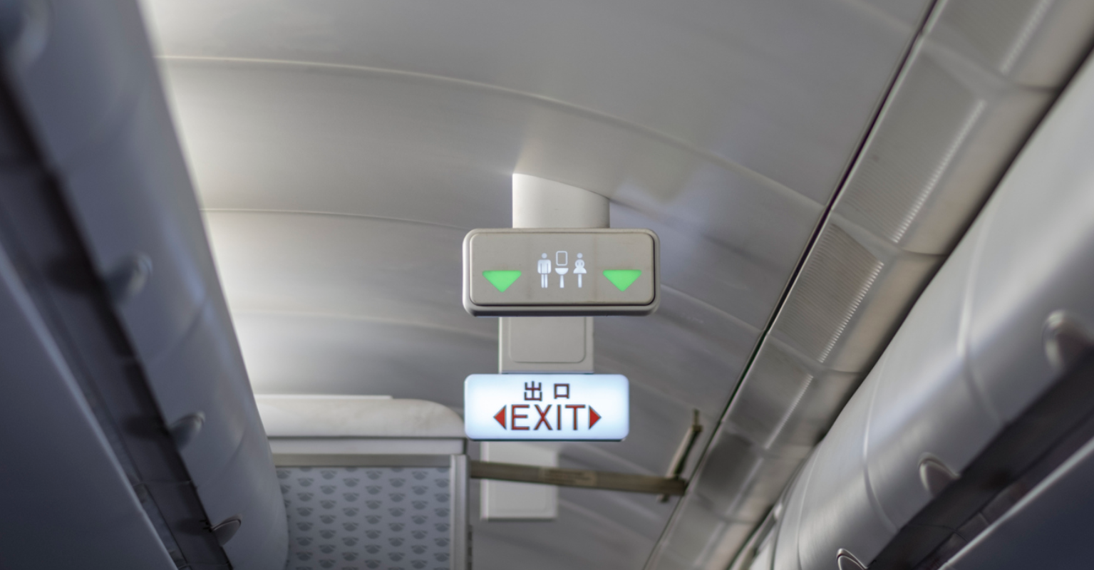 Woman faces 21 years in jail after being filmed pulling down her trousers in plane full of passengers while arguing with staff