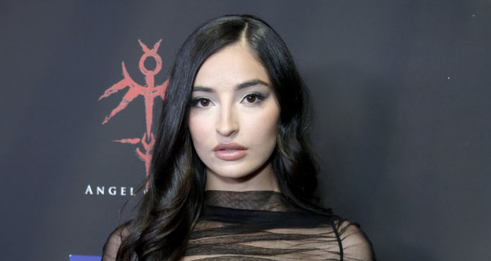 Adult star Emily Willis showing 'positive signs' of recovery - remains in a vegetative state