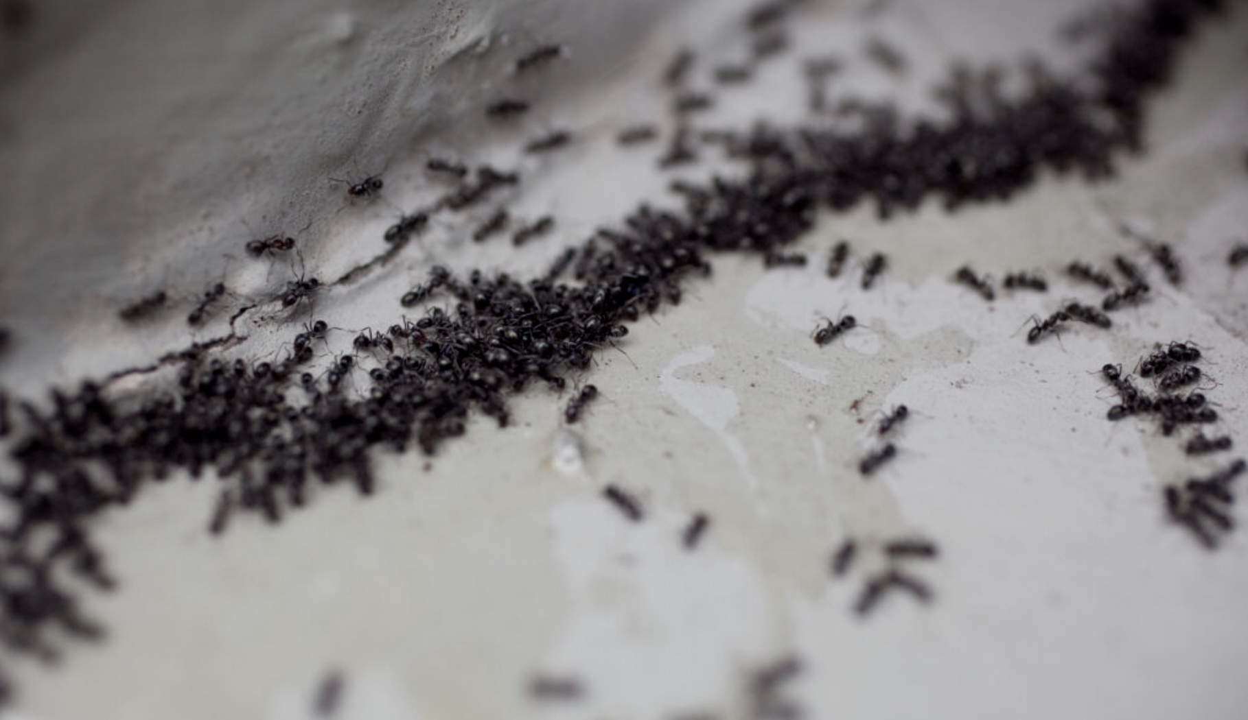 Backpacker makes horrifying discovery in bathroom just minutes after showering in there